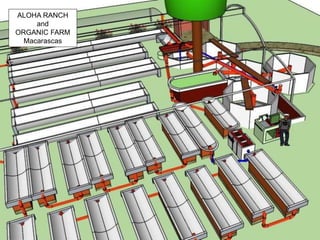 ALOHA RANCH
and
ORGANIC FARM
Macarascas
 