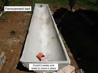 Cured 2 weeks and
ready to move in place
Ferrocement bed
 