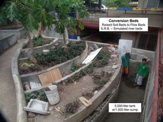 Conversion Beds
Raised Soil Beds to Flow Beds
S.R.B. – Simulated river beds
5,000 liter tank
w/1,000 liter sump
 