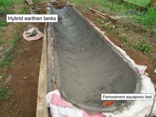 Hybrid earthen tanks
Ferrocement aquaponic bed
 