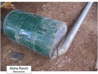 Aloha Ranch
Macarascas
 