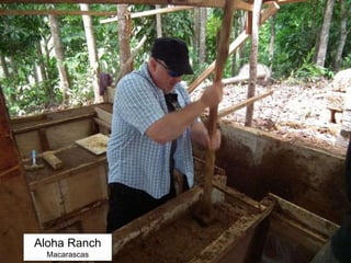 Aloha Ranch
Macarascas
 