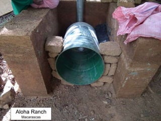 Aloha Ranch
Macarascas
 