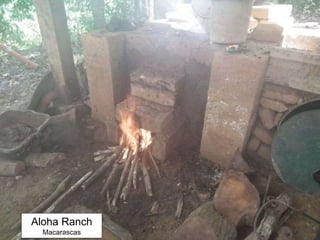 Aloha Ranch
Macarascas
 