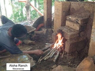 Aloha Ranch
Macarascas
 