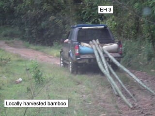 Locally harvested bamboo
EH 3
 