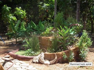 Rammed herb spiral
 