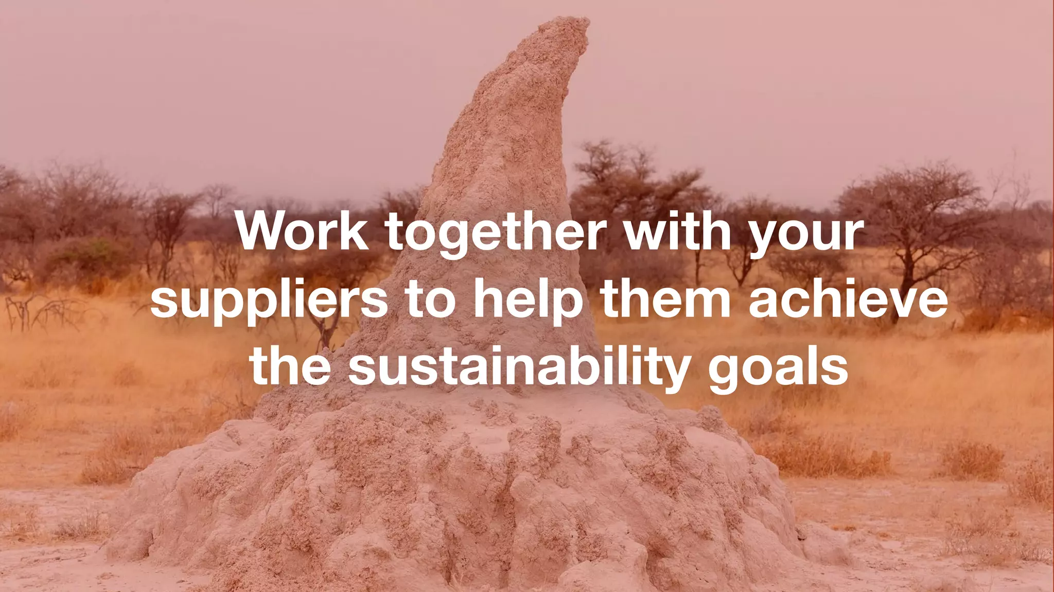 Work together with your
suppliers to help them achieve
the sustainability goals
 