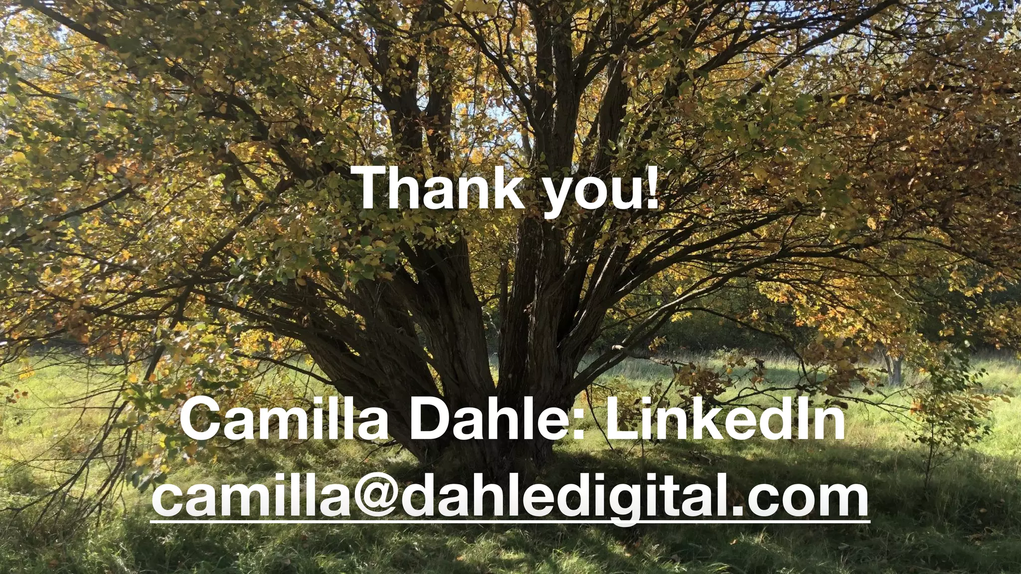 Thank you!
camilla@dahledigital.com
Camilla Dahle: LinkedIn
 