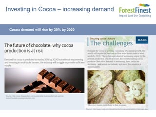 Sustainable cocoa in the Dominican Republic - ForestFinance | PPTX