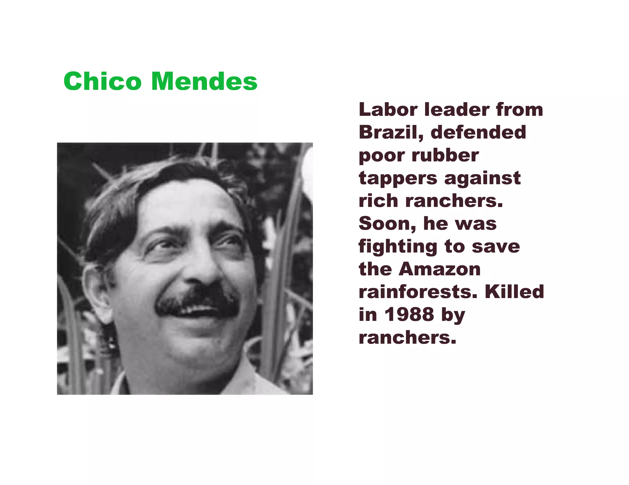 Chico Mendes
               Labor leader from
               Brazil, defended
               poor rubber
               tappers against
               rich ranchers.
               Soon, he was
               fighting to save
               the Amazon
               rainforests. Killed
               in 1988 by
               ranchers.
 