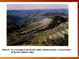 Sustainable development