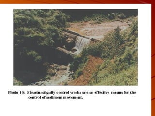 Sustainable development