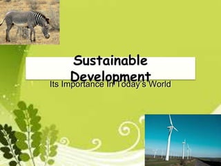 Sustainable
DevelopmentIts Importance In Today’s World
 