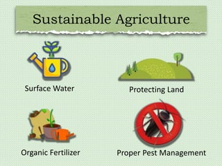 Sustainable Agriculture
Surface Water Protecting Land
Organic Fertilizer Proper Pest Management
 