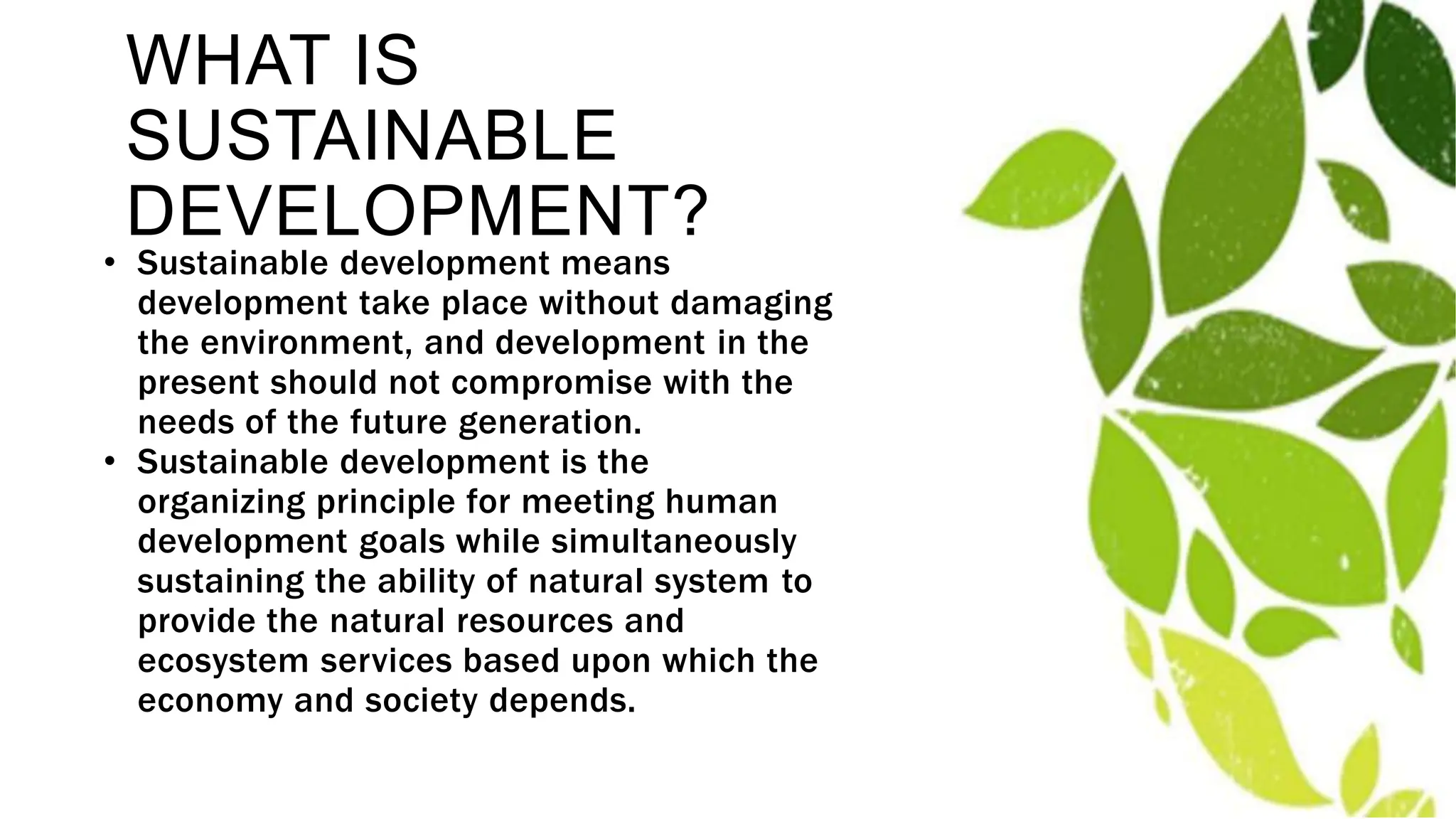 Sustainable Development Topic is sustainable development Science topic.pptx