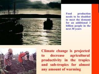 Food production needs to be doubled to meet the demand for an additional 3 billion people in the next 30 years Climate change is projected to decrease agricultural productivity in the tropics and sub-tropics for almost any amount of warming 