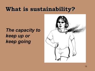 What is sustainability? The capacity to keep up or keep going 