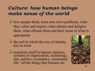 Culture:  how human beings make sense of the world how people think, learn and solve problems, what they value and respect, what attracts and delights them, what offends them and their sense of what is appropriate  the soil in which the tree of identity  has its roots  manifest s itself  in human relations,  systems of organization, technology,  arts, politics, economics, community  life - all the things that   humans do.   