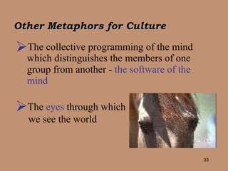 Other Metaphors for Culture The collective programming of the mind which distinguishes the members of one group from another -  the software of the mind The  eyes  through which we see the world 