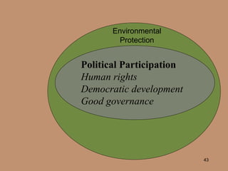 Environmental Protection Political Participation Human rights Democratic development Good governance 