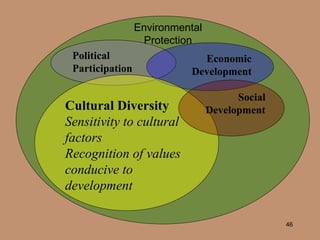 Political Participation Economic Development Cultural Diversity Sensitivity to cultural factors Recognition of values conducive to development Social Development Environmental Protection 