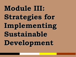 Module III:  Strategies for Implementing Sustainable Development 