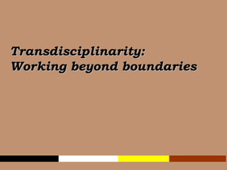 Transdisciplinarity:  Working beyond boundaries 