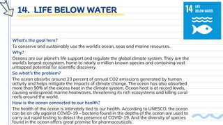 14. LIFE BELOW WATER
What’s the goal here?
To conserve and sustainably use the world’s ocean, seas and marine resources.
Why?
Oceans are our planet’s life support and regulate the global climate system. They are the
world’s largest ecosystem, home to nearly a million known species and containing vast
untapped potential for scientiﬁc discovery.
So what’s the problem?
The ocean absorbs around 23 percent of annual CO2 emissions generated by human
activity and helps mitigate the impacts of climate change. The ocean has also absorbed
more than 90% of the excess heat in the climate system. Ocean heat is at record levels,
causing widespread marine heatwaves, threatening its rich ecosystems and killing coral
reefs around the world.
How is the ocean connected to our health?
The health of the ocean is intimately tied to our health. According to UNESCO, the ocean
can be an ally against COVID-19 – bacteria found in the depths of the ocean are used to
carry out rapid testing to detect the presence of COVID-19. And the diversity of species
found in the ocean offers great promise for pharmaceuticals.
 