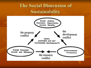 The Social Dimension of Sustainability
