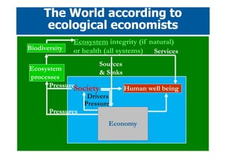 Sustainable Development from an Economic Perspective | PDF