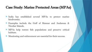 Case Study: Marine Protected Areas (MPAs)
 India has established several MPAs to protect marine
biodiversity.
 Examples include the Gulf of Mannar and Andaman &
Nicobar Islands.
 MPAs help restore fish populations and preserve critical
habitats.
 Monitoring and enforcement are essential for their success.
 