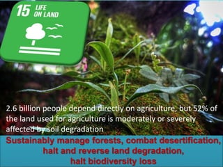 Sustainably manage forests, combat desertification,
halt and reverse land degradation,
halt biodiversity loss
2.6 billion people depend directly on agriculture, but 52% of
the land used for agriculture is moderately or severely
affected by soil degradation
 