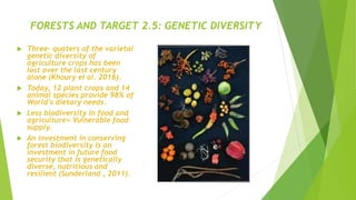 FORESTS AND TARGET 2.5: GENETIC DIVERSITY
 Three- quaters of the varietal
genetic diversity of
agriculture crops has been
lost over the last century
alone (Khoury el al. 2016).
 Today, 12 plant crops and 14
animal species provide 98% of
World’s dietary needs.
 Less biodiversity in food and
agriculture= Vulnerable food
supply.
 An investment in conserving
forest biodiversity is an
investment in future food
security that is genetically
diverse, nutritious and
resilient (Sunderland , 2011).
 