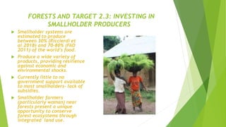 FORESTS AND TARGET 2.3: INVESTING IN
SMALLHOLDER PRODUCERS
 Smallholder systems are
estimated to produce
between 30% (Riccierdi et
al.2018) and 70-80% (FAO
2011) of the world’s food.
 Produce a wide variety of
products, providing resilience
against economic and
environmental shocks.
 Currently little to no
government support available
to most smallholders- lack of
subsidies.
 Smallholder farmers
(particularly woman) near
forests present a unique
opportunity to conserve
forest ecosystems through
integrated land use.
 