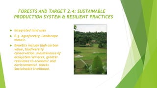 FORESTS AND TARGET 2.4: SUSTAINABLE
PRODUCTION SYSTEM & RESILIENT PRACTICES
 Integrated land uses
 E.g. Agroforesty, Landscape
mosaic.
 Benefits include high carbon
value, biodiversity
conservation, maintenance of
ecosystem Services, greater
resilience to economic and
environmental shocks
Sustainable livelihood.
 