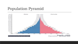 Population Pyramid
 