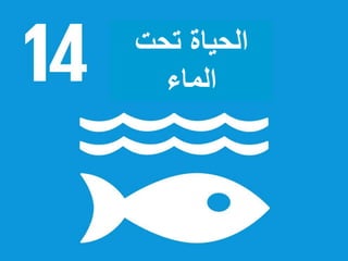 ‫تحت‬ ‫الحياة‬
‫الماء‬
 