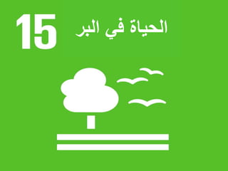 ‫البر‬ ‫في‬ ‫الحياة‬
 