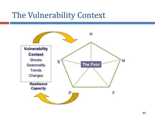 The Vulnerability Context
45
 