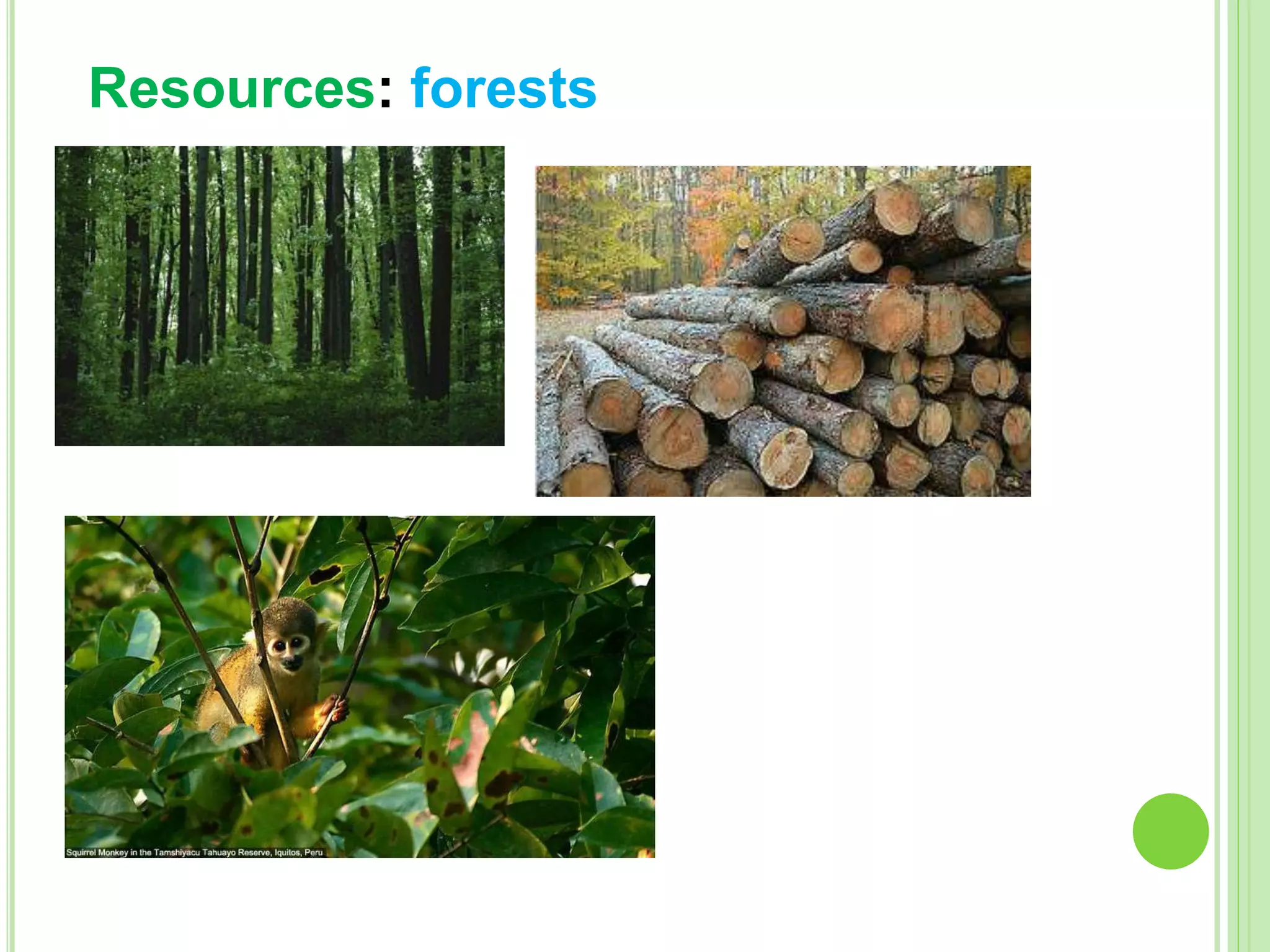 Resources: forests
 