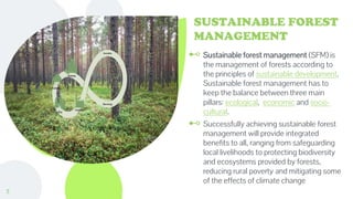 SUSTAINABLE FOREST
MANAGEMENT
⊷ Sustainable forest management (SFM) is
the management of forests according to
the principles of sustainable development.
Sustainable forest management has to
keep the balance between three main
pillars: ecological, economic and socio-
cultural.
⊷ Successfully achieving sustainable forest
management will provide integrated
benefits to all, ranging from safeguarding
local livelihoods to protecting biodiversity
and ecosystems provided by forests,
reducing rural poverty and mitigating some
of the effects of climate change
11
 