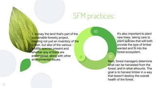SFM practices:
13
03
01 02
1. survey the land that's part of the
sustainable forestry project,
creating not just an inventory of the
timber, but also of the various
wildlife species present and
whether any of them are
endangered, along with other
environmental issues.
Next, forest managers determine
what can be harvested from the
forest, and in what amounts. The
goal is to harvest timber in a way
that doesn't destroy the overall
health of the forest.
It's also important to plant
new trees, taking care to
plant species that will both
provide the type of timber
wanted and fit into the
forest ecosystem.
 