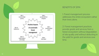 Place your screenshot here
14
⊷ BENEFITS OF SFM-
⊷ 1. Forest management process
addresses the entire ecosystem rather
than trees alone.
⊷ 2. Forest management practices
provide goods and services from a
forest ecosystem without degradation
of site quality and without deducting in
the yield for goods and services over
time.
⊷
 
