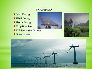 EXAMPLES
Solar Energy
Wind Energy
Hydro Energy
Crop Rotation
Efficient water fixtures
Green Space
 