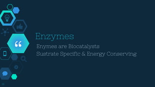 “ Enymes are Biocatalysts
Sustrate Specific & Energy Conserving
18
Enzymes
 