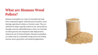 Sustainable Energy Solutions with Premium Biomass Wood Pellets.pdf
