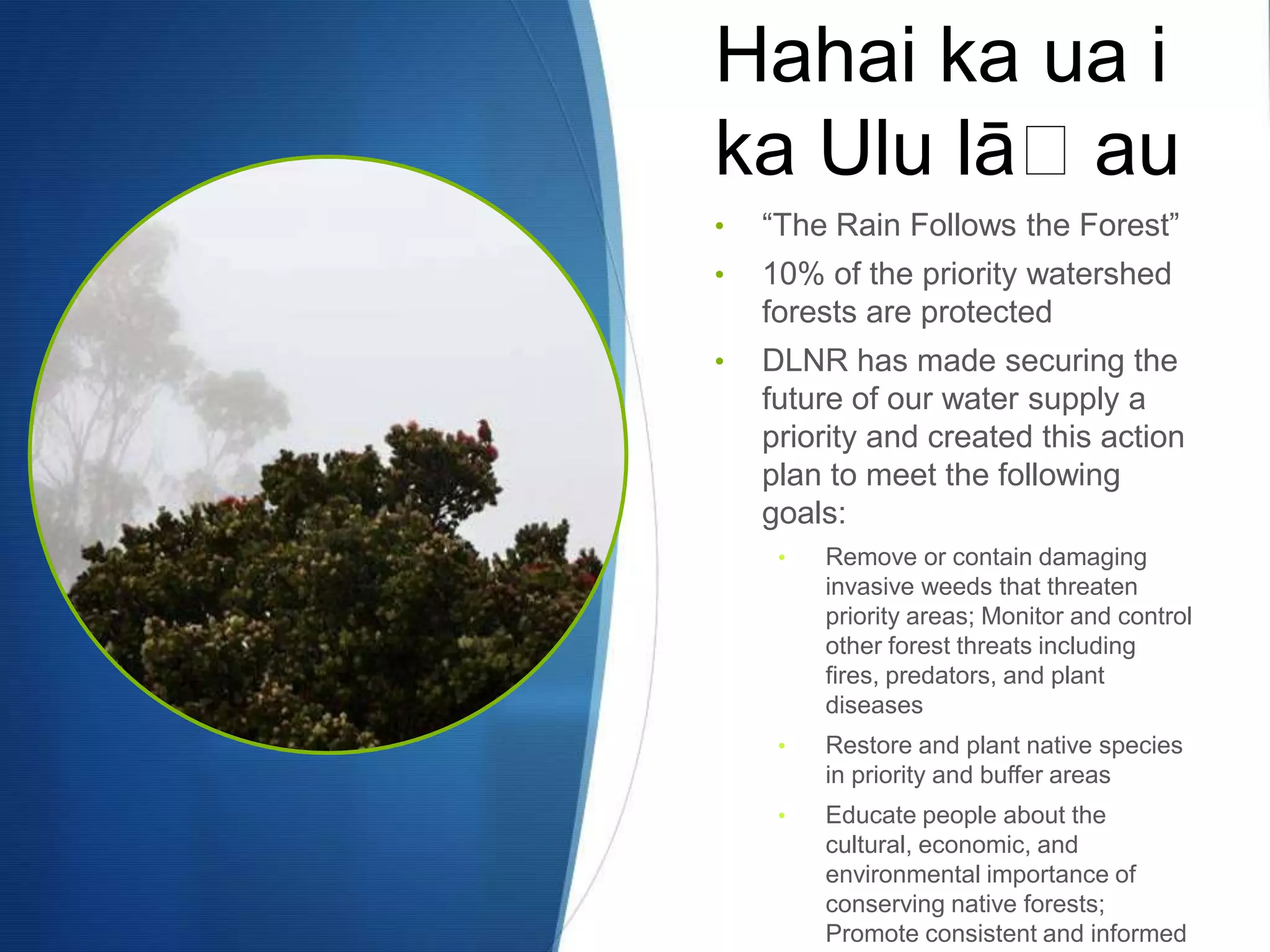 Hahai ka ua i
ka Ulu lāʻau
•   “The Rain Follows the Forest”
•   10% of the priority watershed
    forests are protected
•   DLNR has made securing the
    future of our water supply a
    priority and created this action
    plan to meet the following
    goals:
     •   Remove or contain damaging
         invasive weeds that threaten
         priority areas; Monitor and control
         other forest threats including
         fires, predators, and plant
         diseases
     •   Restore and plant native species
         in priority and buffer areas
     •   Educate people about the
         cultural, economic, and
         environmental importance of
         conserving native forests;
         Promote consistent and informed
 