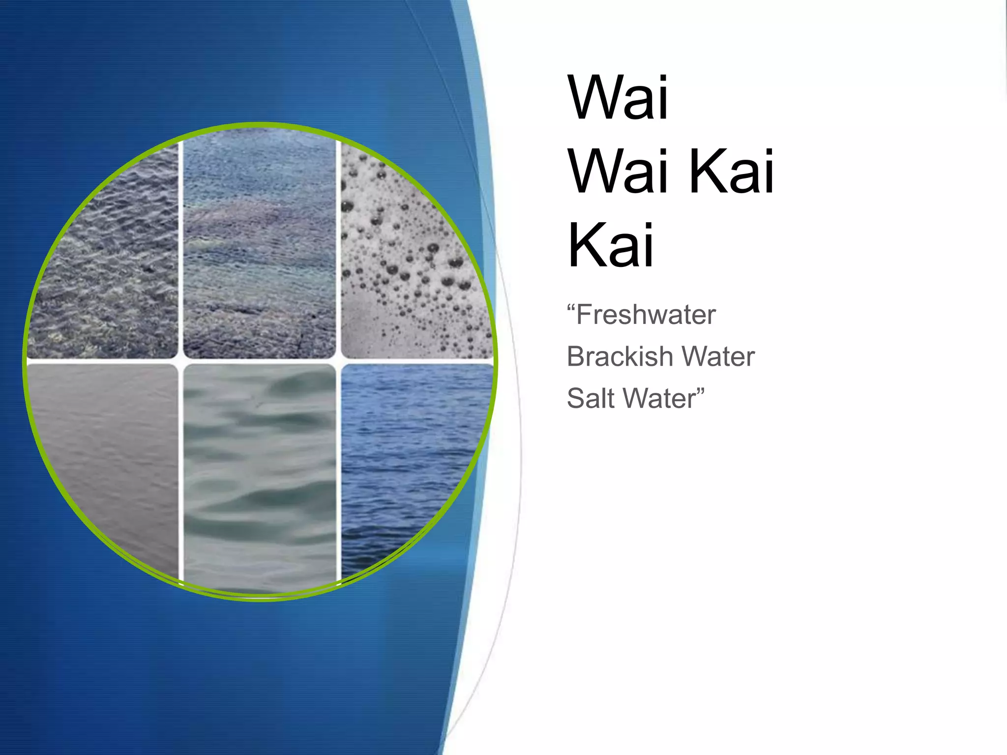 Wai
Wai Kai
Kai
“Freshwater
Brackish Water
Salt Water”
 