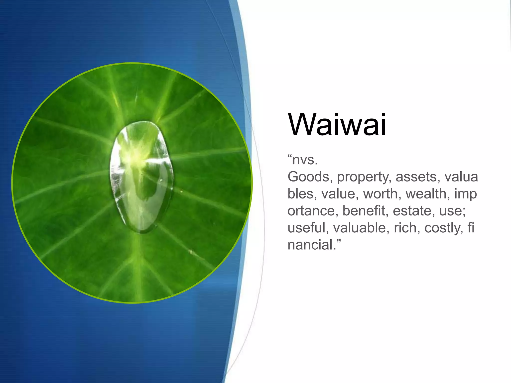 Waiwai
“nvs.
Goods, property, assets, valua
bles, value, worth, wealth, imp
ortance, benefit, estate, use;
useful, valuable, rich, costly, fi
nancial.”
 